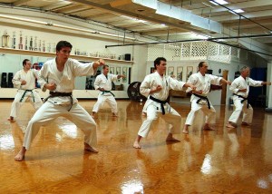Martial Arts Benefits