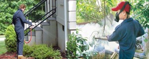 Why Pest Control Services Are a True Necessity
