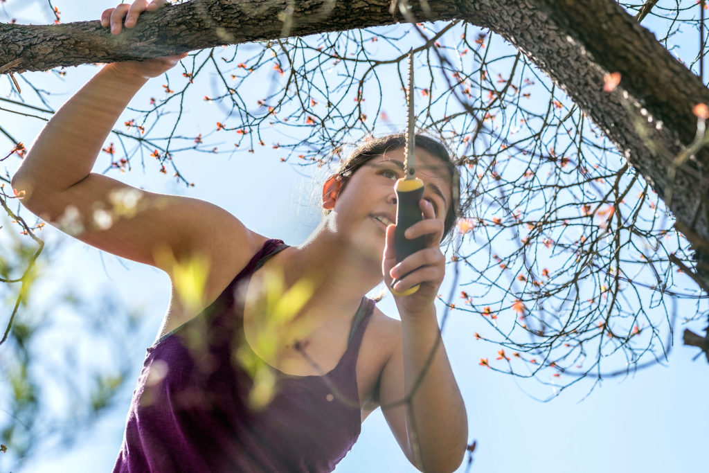 tree-services-are-not-always-easy