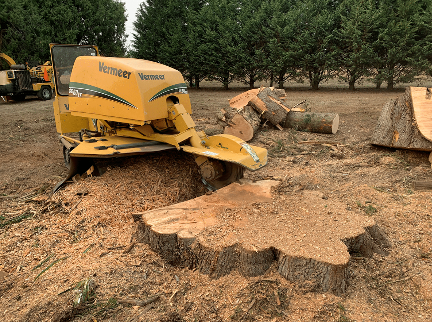 Stump grinding in Sydney